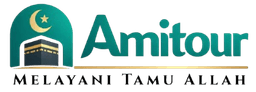 Logo AMI Tour